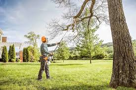 Best Seasonal Cleanup (Spring/Fall)  in Providence, RI