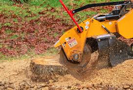 Best Aeration Services  in Providence, RI